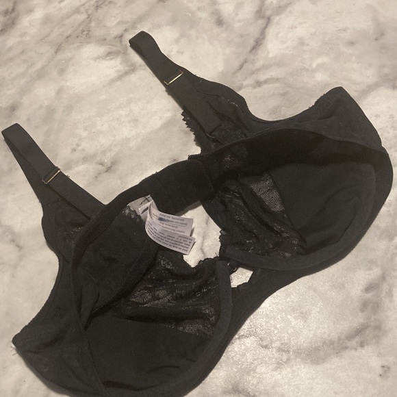 Auden - Picture 13 of 16